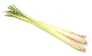 Illustration for article titled Lemongrass is not Hitler either